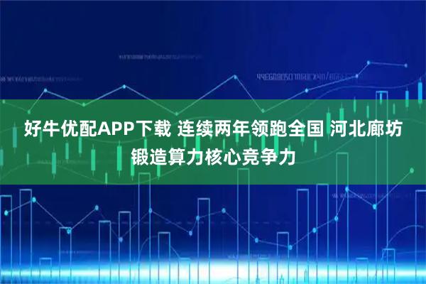 好牛优配APP下载 连续两年领跑全国 河北廊坊锻造算力核心竞争力